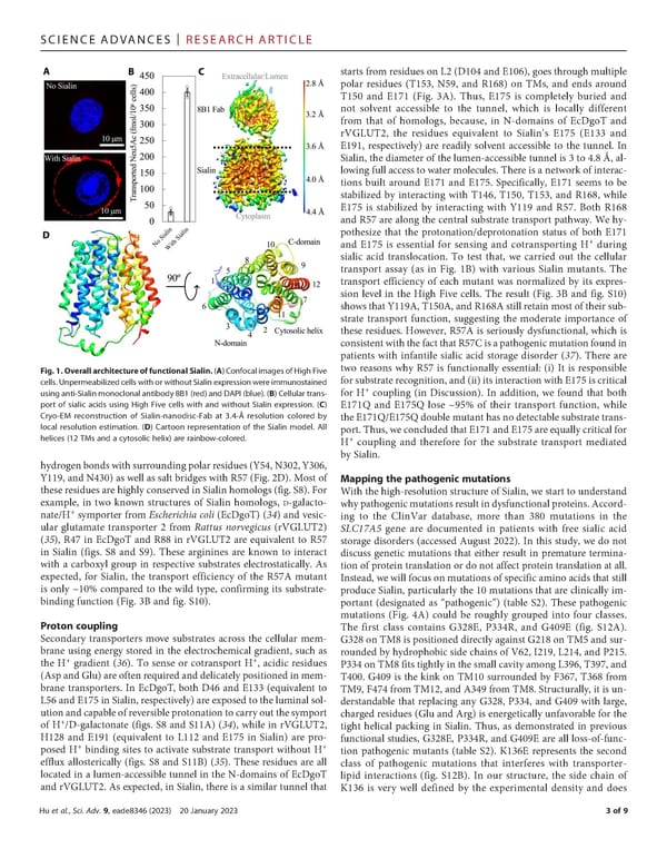 The molecular mechanism of sialic acid transport mediated by Sialin - Page 3