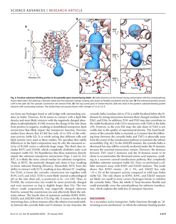 The molecular mechanism of sialic acid transport mediated by Sialin - Page 4