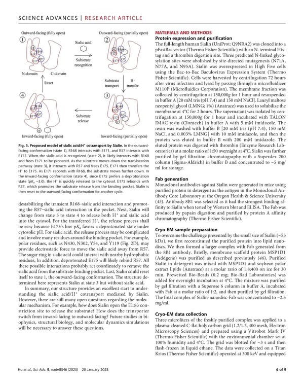 The molecular mechanism of sialic acid transport mediated by Sialin - Page 6