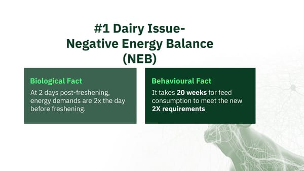 Meet Fresh Cow Manager (Open) - Page 5