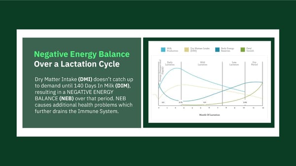 Meet Fresh Cow Manager (Open) - Page 7