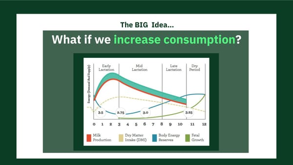 Meet Fresh Cow Manager (Open) - Page 9