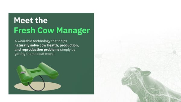 Meet Fresh Cow Manager (Open) - Page 11