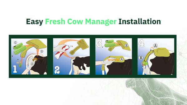 Meet Fresh Cow Manager (Open) - Page 13